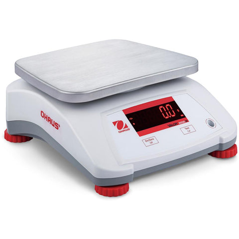 Large food outlet scale